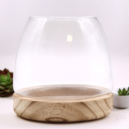 Terrarium moyen en bois de tung naturel - 15x15cm