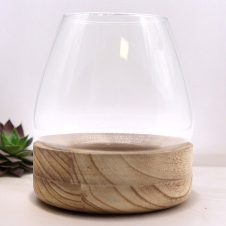 Grand Terrarium en Bois de Tung Naturel - 17x19cm