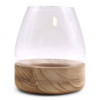 Grand Terrarium en Bois de Tung Naturel - 17x19cm