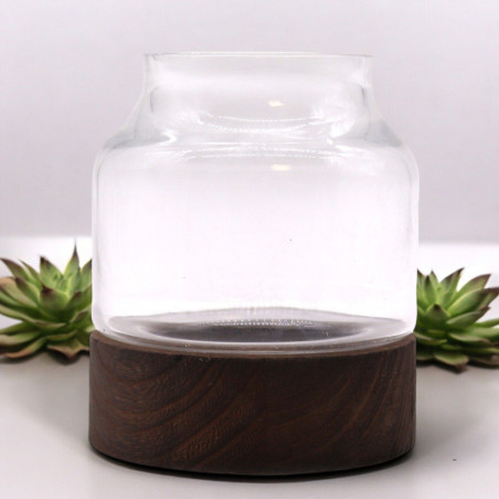 Petit terrarium en bois de tung foncé - 12x13cm