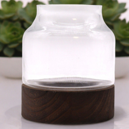 Terrarium de forme moyenne en bois de tung foncé - 16x18cm