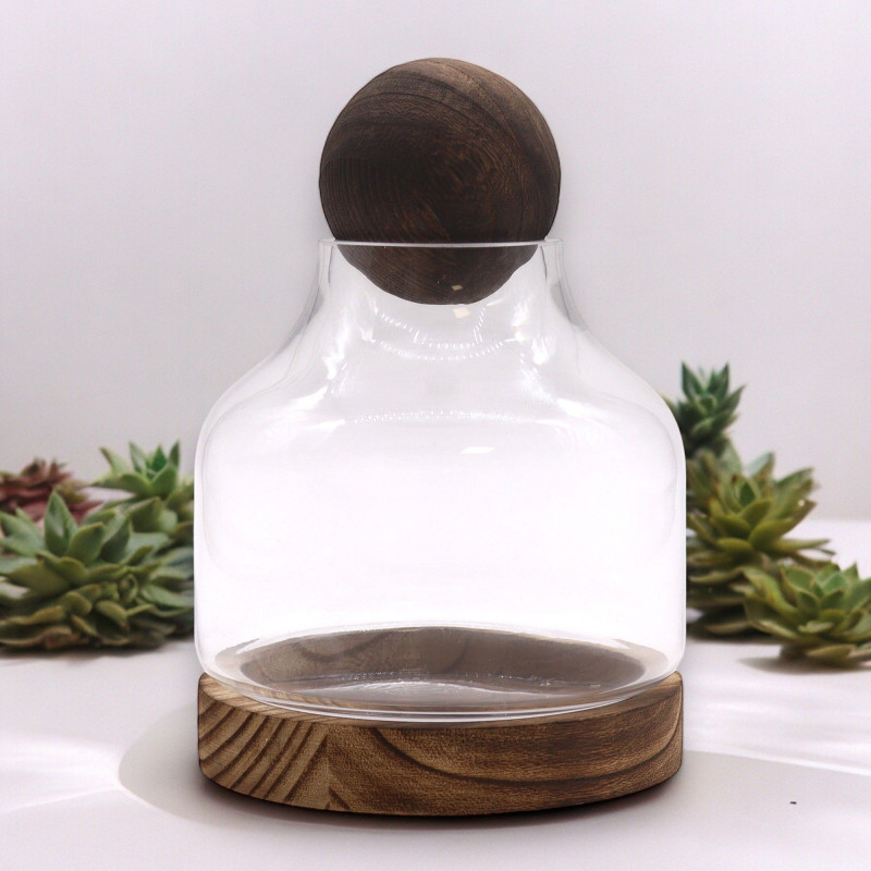 Terrarium à tête sphérique moyenne sur bois de tung foncé - 17 x 22 cm