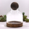 Terrarium à tête sphérique moyenne sur bois de tung foncé - 17 x 22 cm