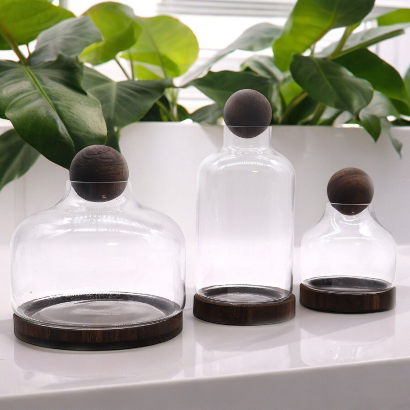 Terrarium à tête sphérique moyenne sur bois de tung foncé - 17 x 22 cm