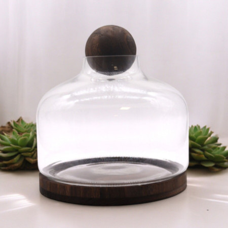 Ex-grand terrarium à plateau sphérique en bois de tung foncé - 23 x 23 cm