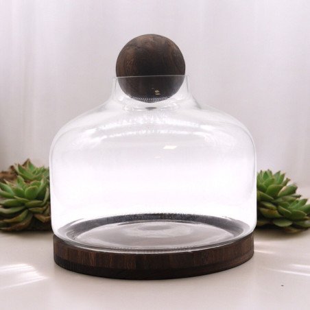 Ex-grand terrarium à plateau sphérique en bois de tung foncé - 23 x 23 cm