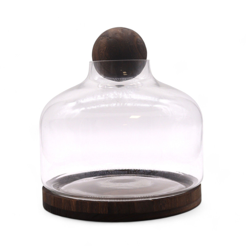 Ex-grand terrarium à plateau sphérique en bois de tung foncé - 23 x 23 cm