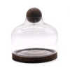 Ex-grand terrarium à plateau sphérique en bois de tung foncé - 23 x 23 cm