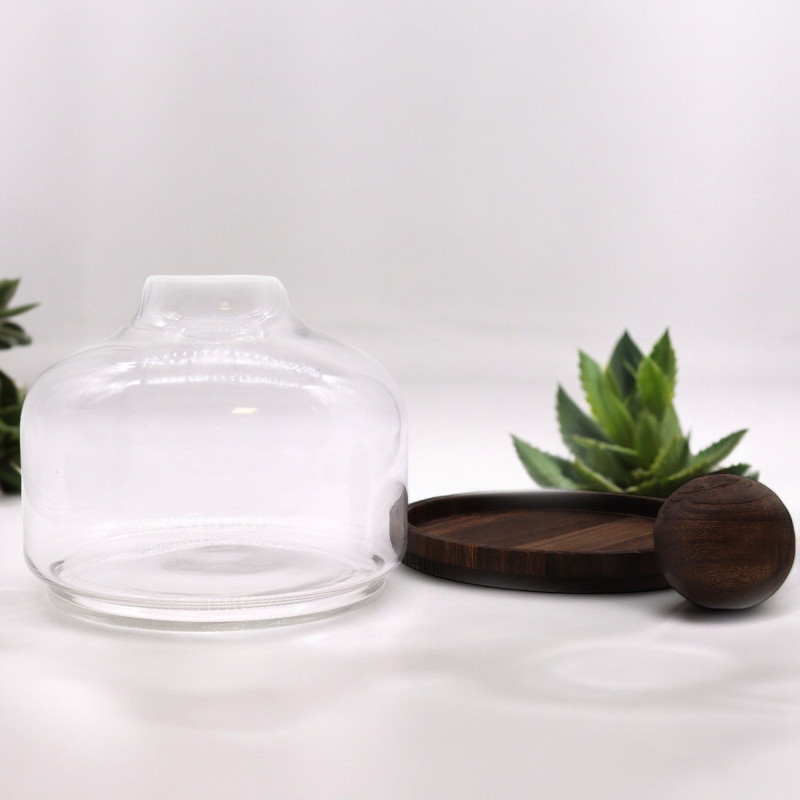 Ex-grand terrarium à plateau sphérique en bois de tung foncé - 23 x 23 cm