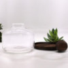 Ex-grand terrarium à plateau sphérique en bois de tung foncé - 23 x 23 cm