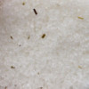 Mélange de sels de bain de l'Himalaya 500 g - Clarity