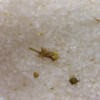 Mélange de sels de bain de l'Himalaya 500 g - Skin Revive