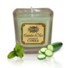 Bougie en pot de soja - Concombre et menthe