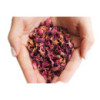 Pétales de rose (0,5 kg)