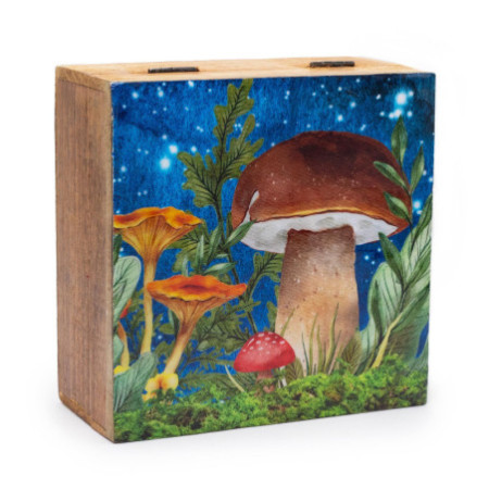 Grande boîte carrée 15 x 17,5 x 8 cm - Motif champignon bleu sarcelle