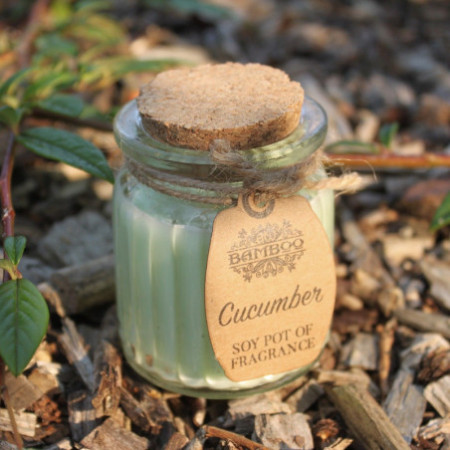 Bougies parfumées au concombre et au soja en pot