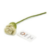 6x Fleurs en feutre - Roses blanches