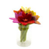 6x Fleurs en feutre - Lys (couleurs assorties)