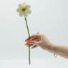 6x Fleurs en feutre - Marguerite (couleurs assorties)