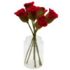 6x Fleurs en feutre - Roses rouges