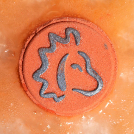 Coffret de bombes de bain avec horoscope - Lion