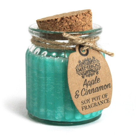 Bougie parfumée au soja et à la pomme et à la cannelle