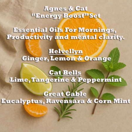 Agnes & Cat - Coffret Énergie Boost de 3 mélanges d'huiles essentielles