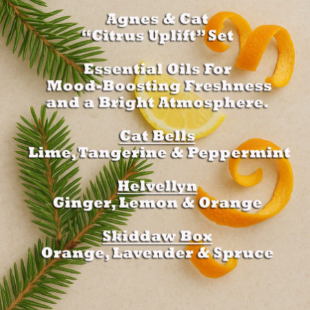 Agnes & Cat - Coffret de 3 mélanges d'huiles essentielles Citrus Uplift