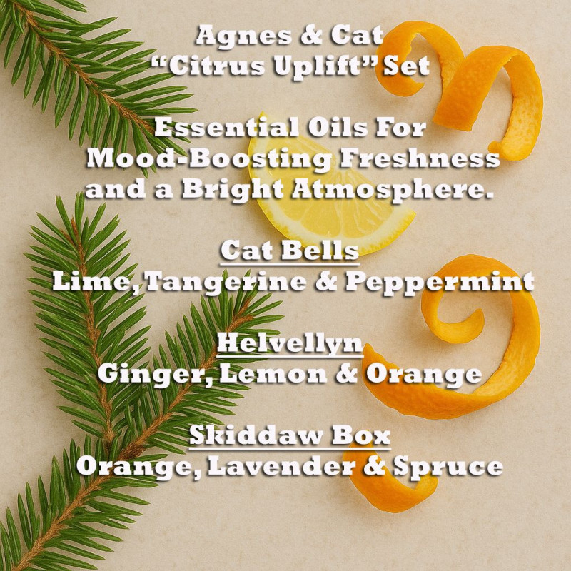 Agnes & Cat - Coffret de 3 mélanges d'huiles essentielles Citrus Uplift