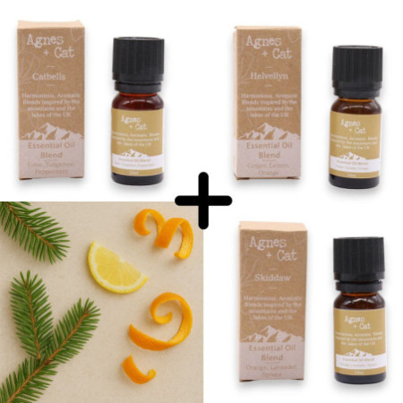 Agnes & Cat - Coffret de 3 mélanges d'huiles essentielles Citrus Uplift