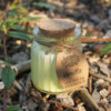 Bougie parfumée à la vanille et au soja en pot