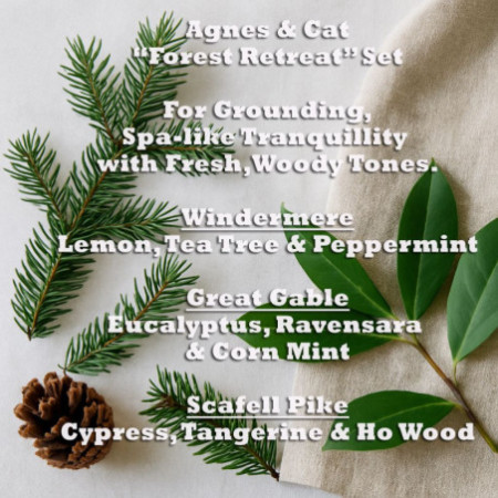 Agnes & Cat - Coffret Retraite en Forêt de 3 Mélanges d'Huiles Essentielles
