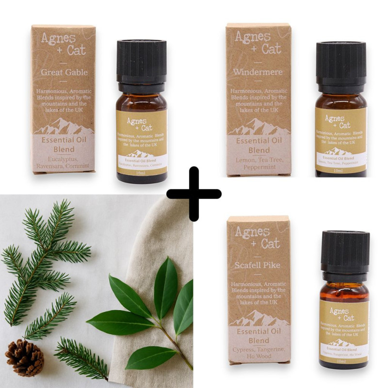 Agnes & Cat - Coffret Retraite en Forêt de 3 Mélanges d'Huiles Essentielles