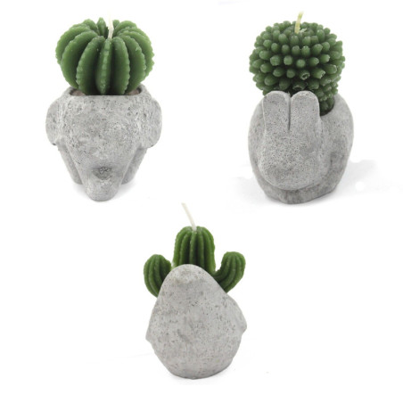 Bougies Cactus - Présentoir en pot animal (assorti)