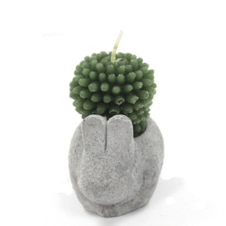 Bougies Cactus - Présentoir en pot animal (assorti)