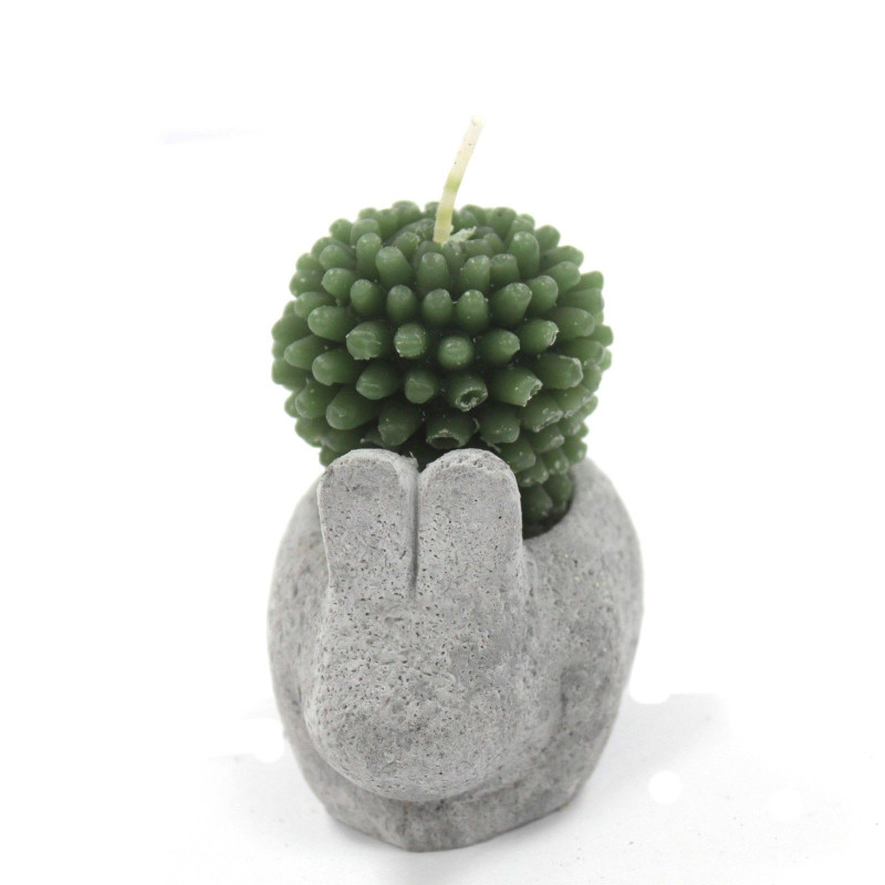 Bougies Cactus - Présentoir en pot animal (assorti)