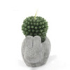 Bougies Cactus - Présentoir en pot animal (assorti)