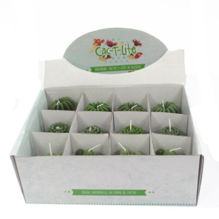 Bougies Cactus - Présentoir en pot animal (assorti)