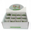 Bougies Cactus - Présentoir en pot animal (assorti)