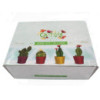 Bougies Cactus - Présentoir en pot animal (assorti)