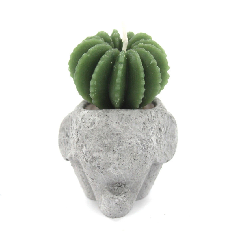 Bougies Cactus - Présentoir en pot animal (assorti)