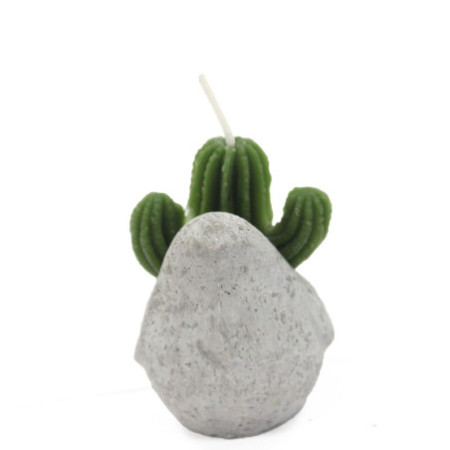 Bougies Cactus - Présentoir en pot animal (assorti)