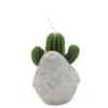 Bougies Cactus - Présentoir en pot animal (assorti)