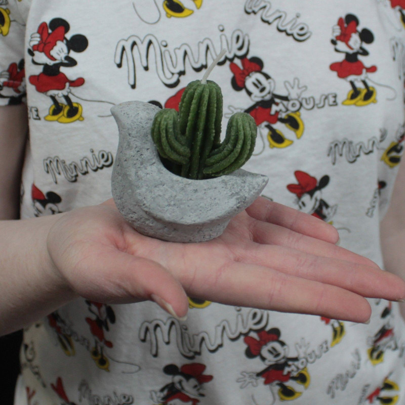 Bougies Cactus - Présentoir en pot animal (assorti)