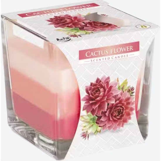 Bougie en pot arc-en-ciel - Fleur de cactus