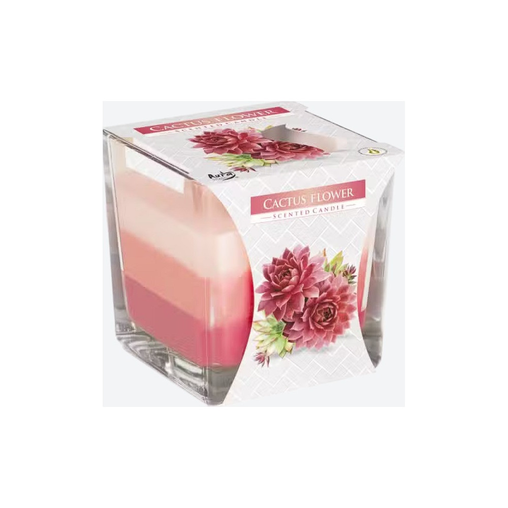 Bougie en pot arc-en-ciel - Fleur de cactus