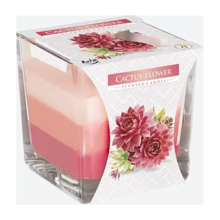 Bougie en pot arc-en-ciel - Fleur de cactus