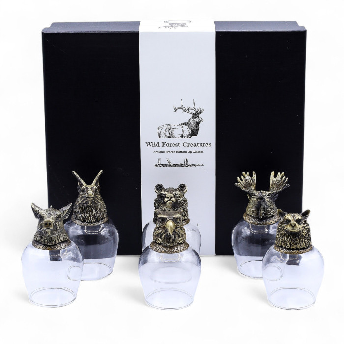 Coffret de 6 verres (50 ml) - Créatures mystiques - Bronze antique