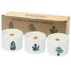Bougies botaniques Med - Jardin japonais