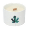 Bougies botaniques Med - Jardin japonais